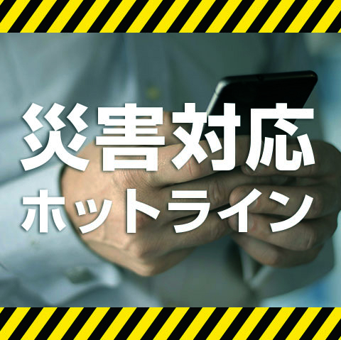 災害対応ホットライン